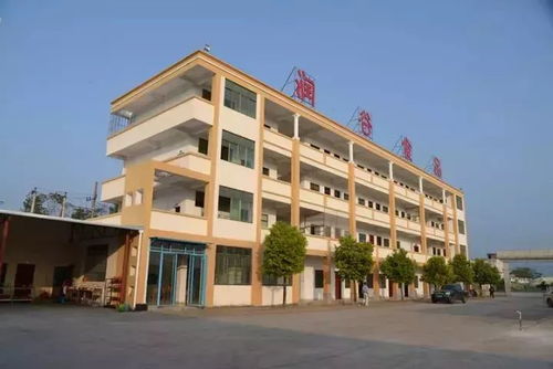 揭秘河源放心粉 面,厲害了我的潤谷工廠