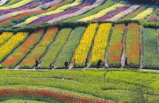 建設(shè)規(guī)劃 中國(guó)網(wǎng) 錦繡天府