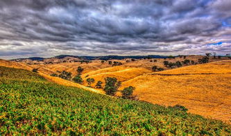 暢游阿德萊德,南澳大利亞自由行