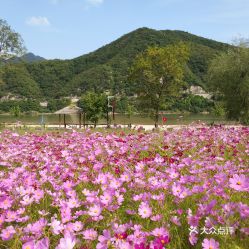 電話,地址,價格,營業時間 東港市周邊游