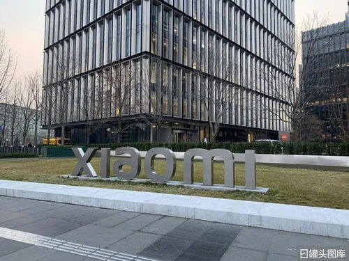 小米在印度,進(jìn)退維谷