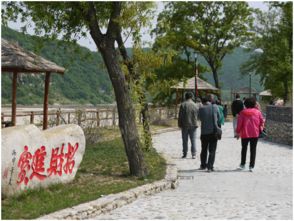 舉杯邀明月 度假在東港