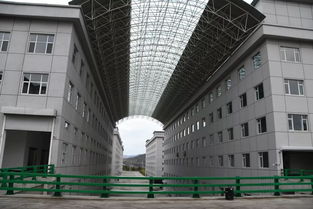 加快項目建設(shè),推動振興發(fā)展 我市開展新一輪 三早 項目巡檢