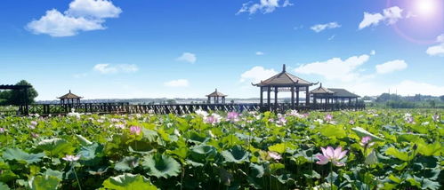 一場詩意般的生活美學, 鎮(zhèn) 向你翩然走來