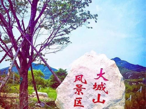 5月19日 丹東部分景區(qū)門票免費或半價開放