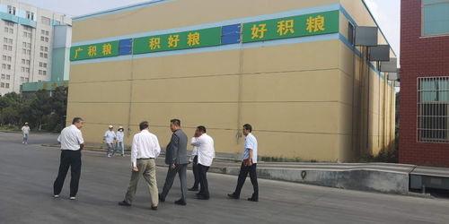 蜂狂購執行總裁徐子超赴山東盡調擬并購企業新東谷面粉廠