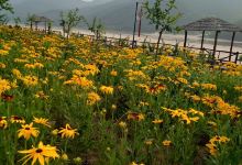 東港小島全攻略 探索金沙谷的絕美風(fēng)光